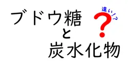ブドウ糖と炭水化物の違いとは？身近な栄養素をわかりやすく解説！