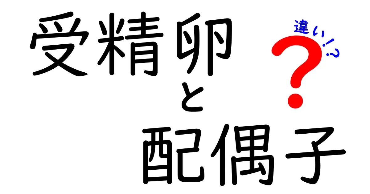 受精卵と配偶子の違いを徹底解説!中学生にもわかる受精のしくみ