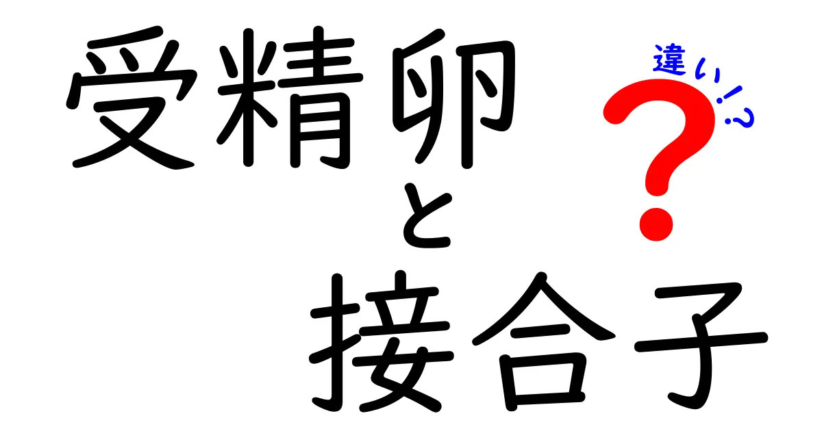 受精卵と接合子の違いを徹底解説!いつ生まれるの?どこが違うの?中学生にも分かるやさしい解説