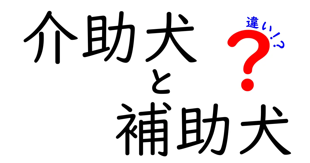 介助犬と補助犬の違いを徹底解説!日常での使い方と理解のポイント