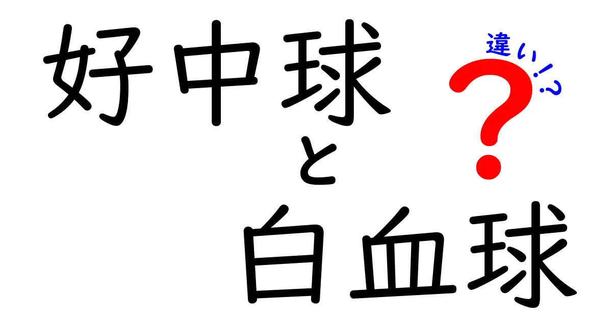 好中球と白血球の違いをわかりやすく解説!免疫の仕組みをかんたん理解