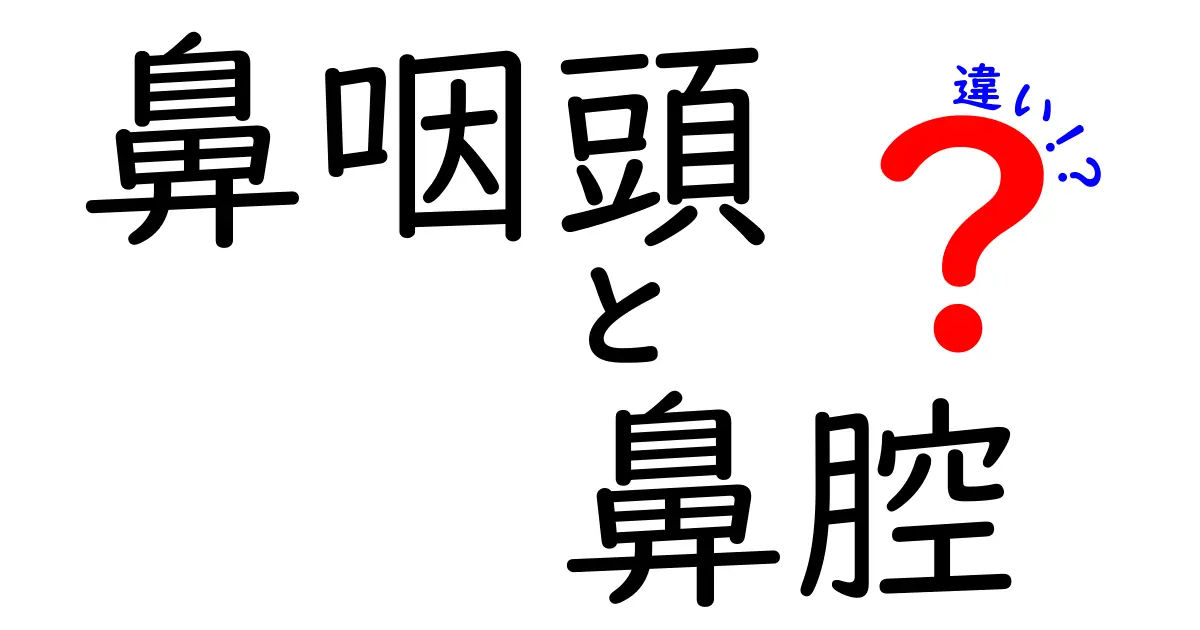 鼻咽頭と鼻腔の違いを徹底解説 中学生にもわかるポイント