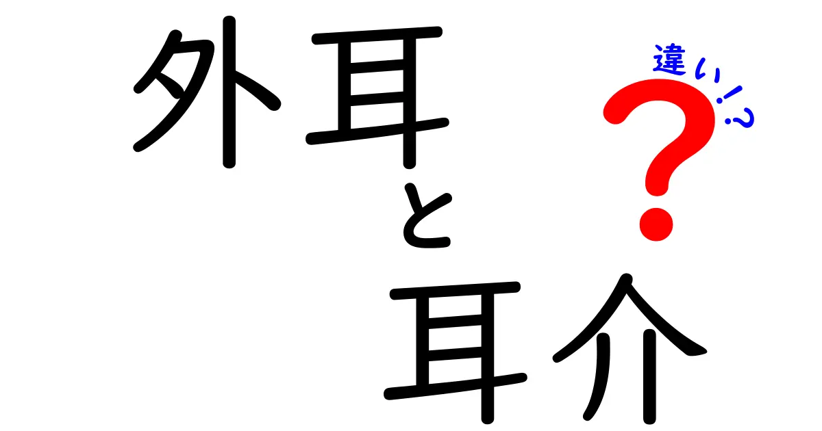 外耳と耳介の違いを徹底解説!中学生にもわかる耳のしくみと役割