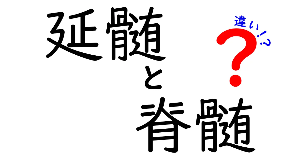 延髄と脊髄の違いを徹底解説!中 studentsにもわかる図解と比較で理解を深めよう