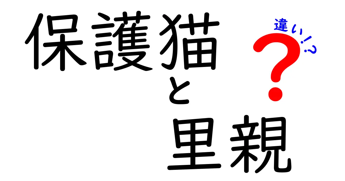 保護猫と里親の違いを徹底解説！初心者でも分かる選び方と注意点