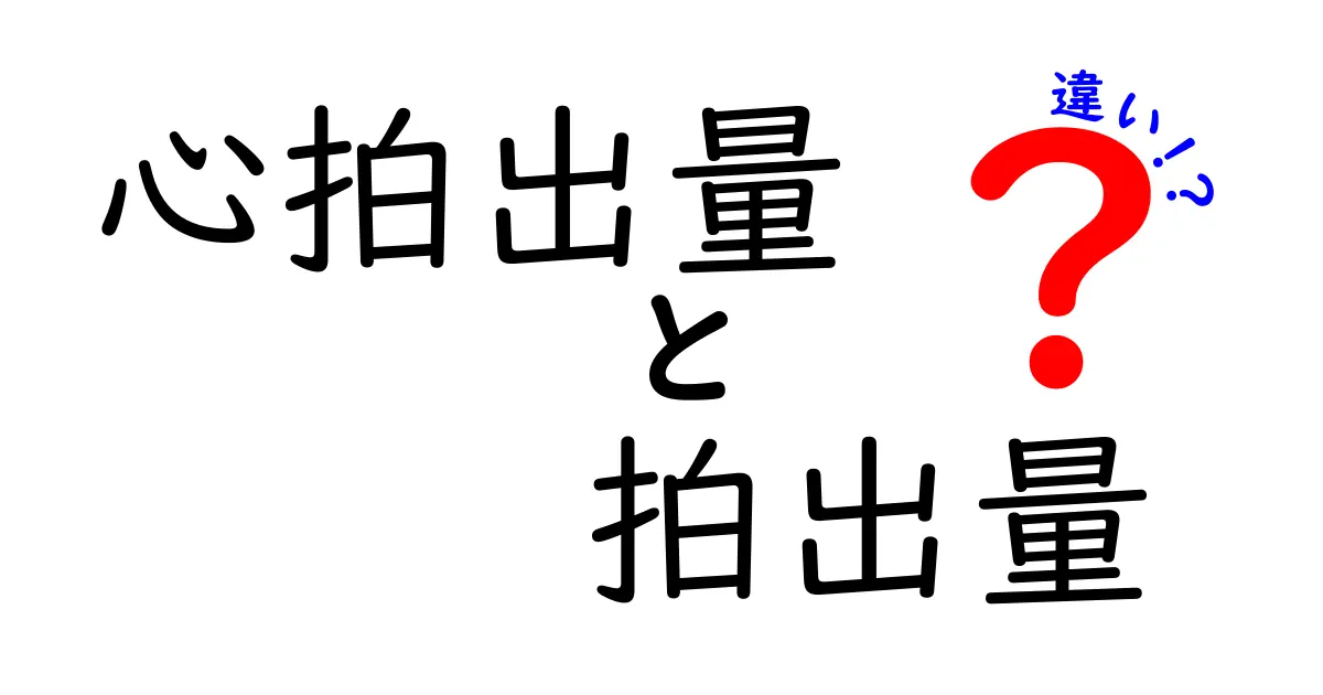 心拍出量と拍出量の違いを徹底解説!わかりやすく見分ける3つのポイント