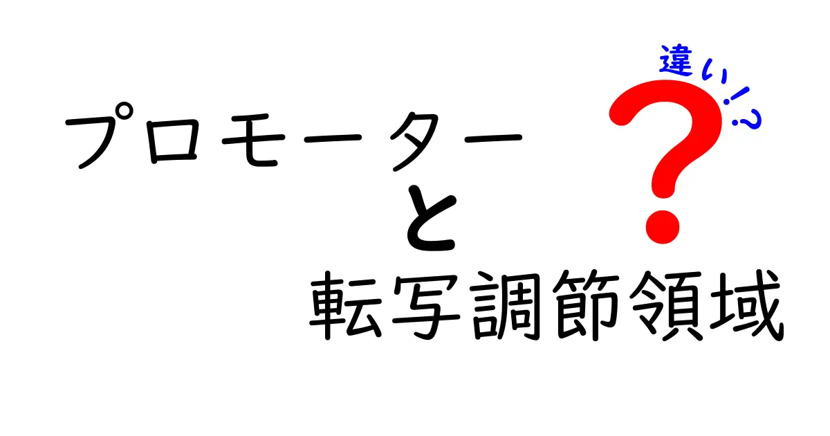 図解で学ぶプロモーターと転写調節領域の違い—遺伝子発現のスイッチを中学生にもやさしく