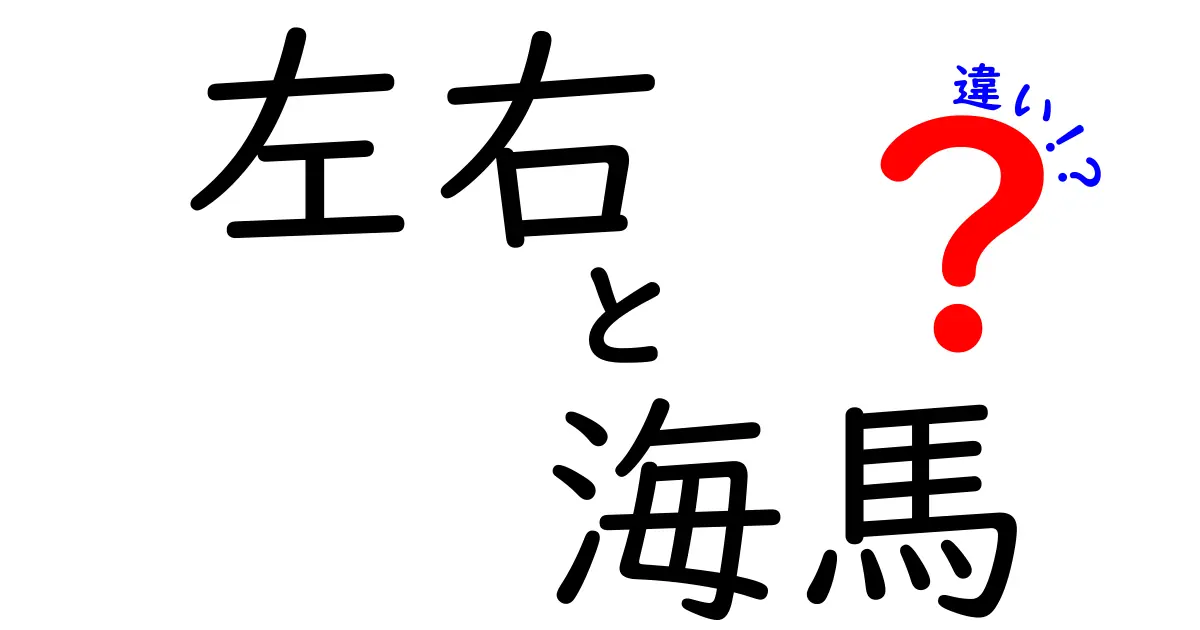 左右の海馬の違いとは?記憶と空間認識を左右から読み解く完全ガイド