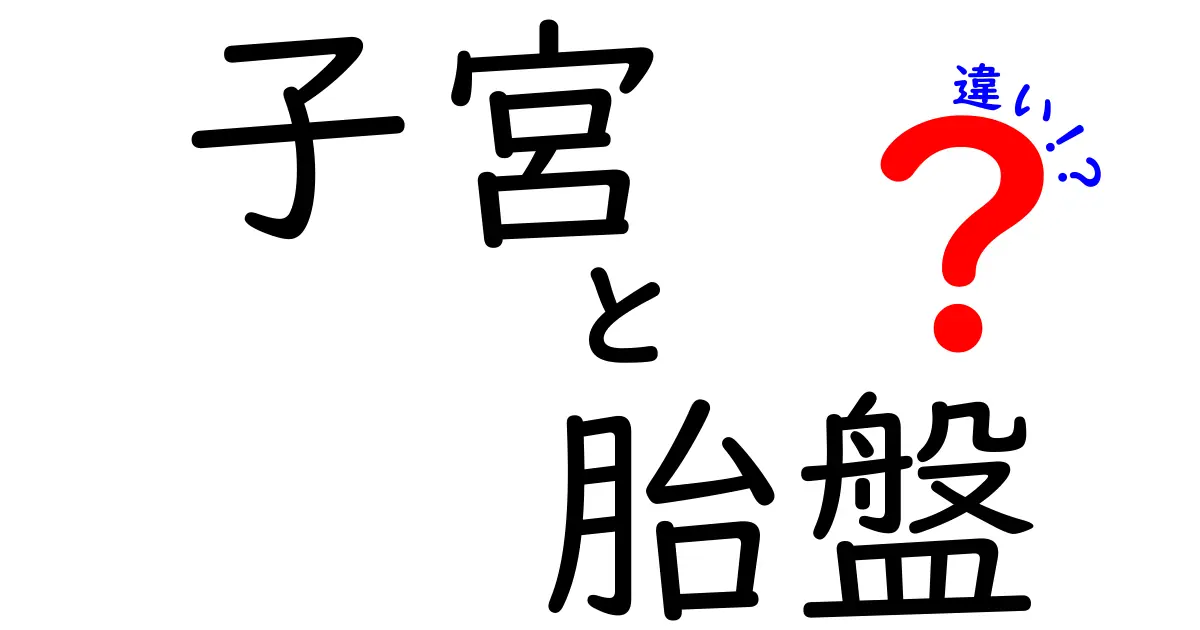 子宮と胎盤の違いを理解する:役割と場所がわかる中学生向けガイド