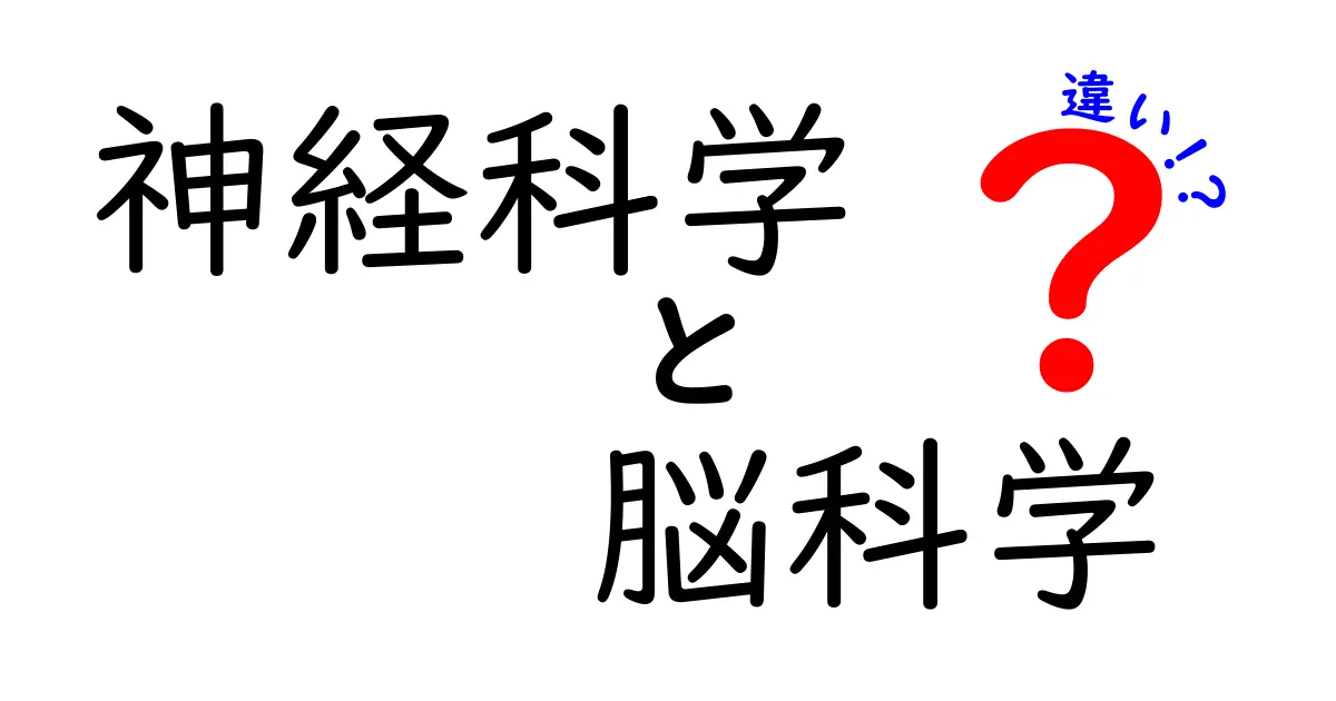 神経科学と脳科学の違いを徹底解説!学問の範囲と日常生活を結ぶポイント