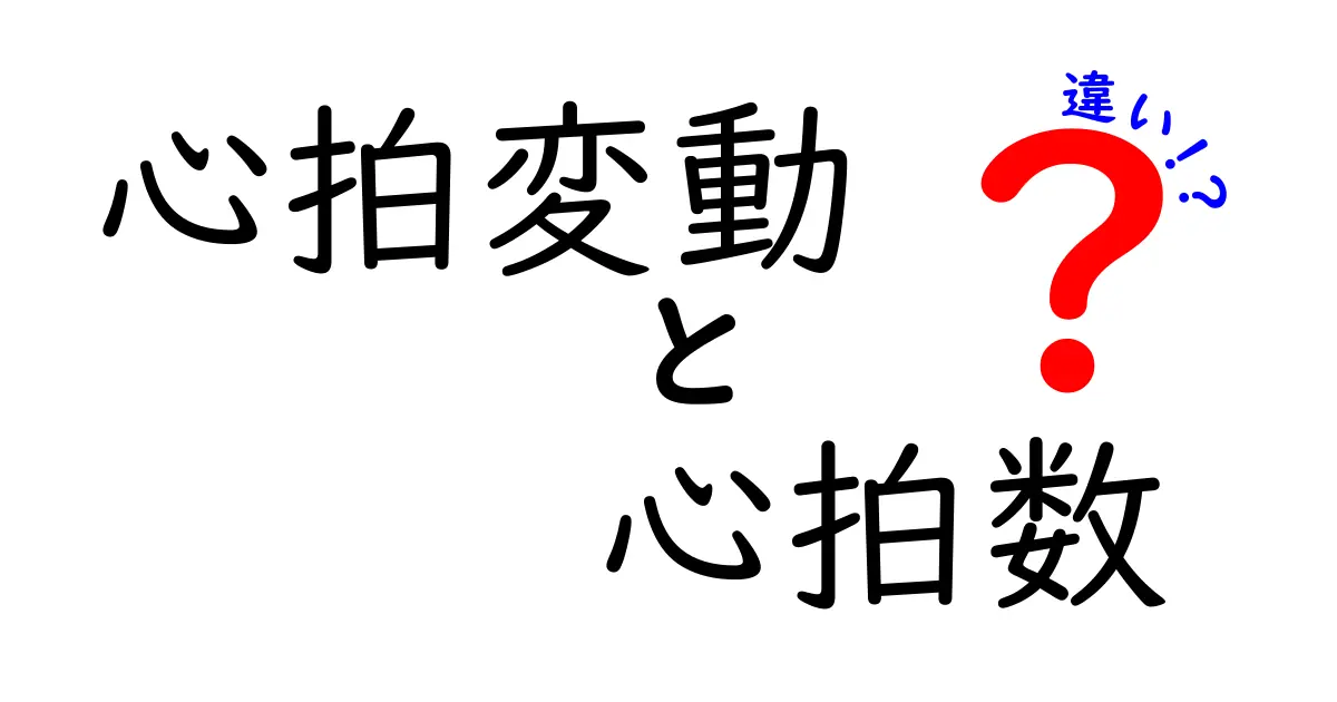 心拍変動と心拍数の違いとは？健康管理に役立つ基本知識をやさしく解説！