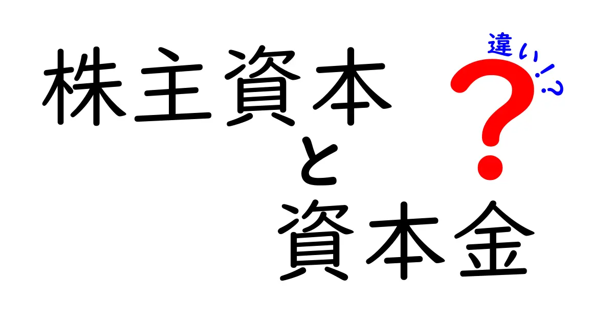 【初心者必見】株主資本と資本金の違いをわかりやすく解説！