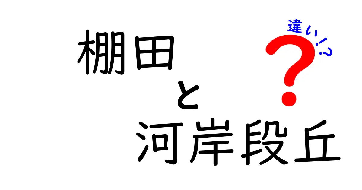 棚田と河岸段丘の違いとは?自然地形と人の営みをわかりやすく解説!