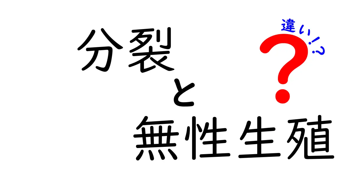 分裂と無性生殖の違いをやさしく解説!中学生にも伝わる繁殖のしくみ