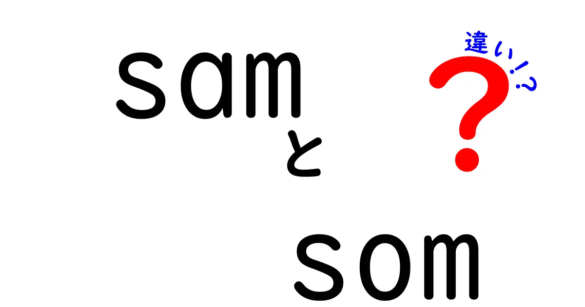 samとsomの違いを徹底解説|名前・略語・表現の使い分けがすぐ分かる