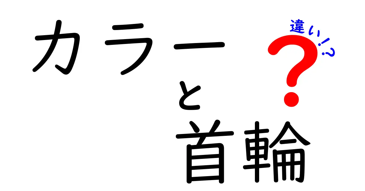 カラーと首輪の違いを徹底解説|意味・用途・選び方をわかりやすく比較