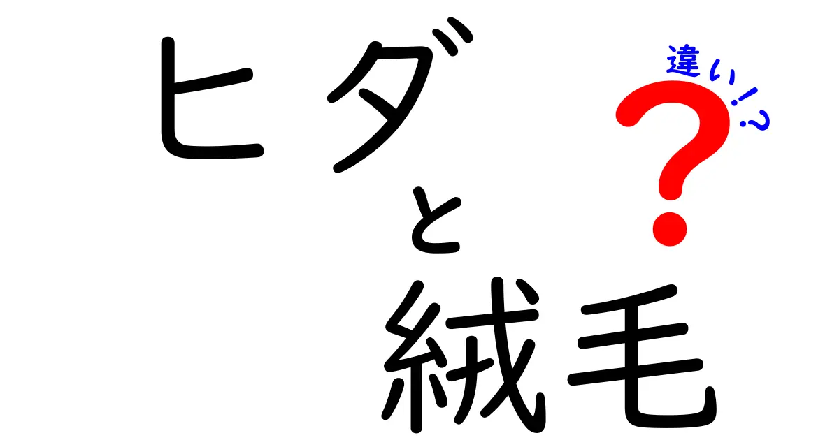 ヒダと絨毛の違いをわかりやすく解説!身近なイメージで学ぶ