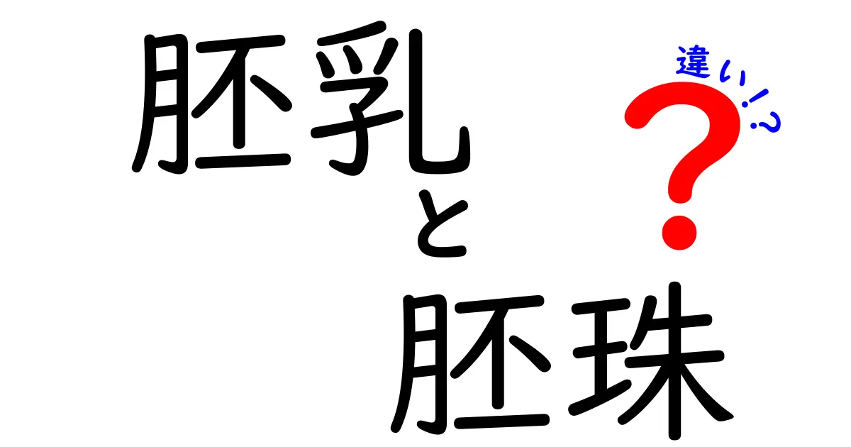 胚乳と胚珠の違いを中学生にも分かるやさしい解説:完全ガイド