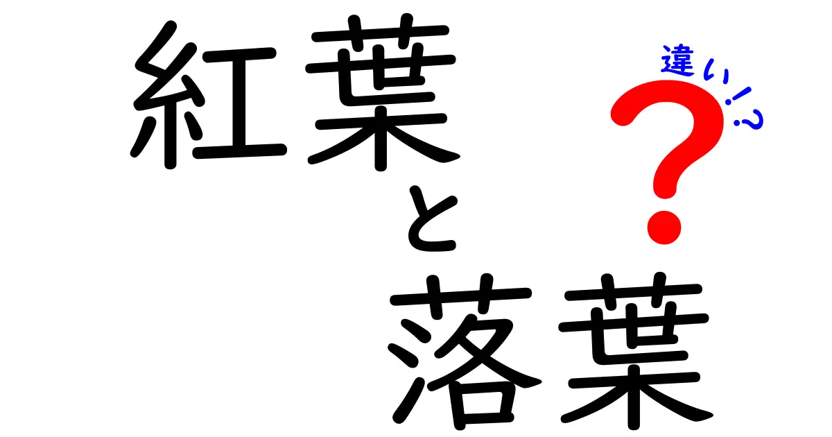 紅葉と落葉の違いとは？美しい秋の自然現象をわかりやすく解説！