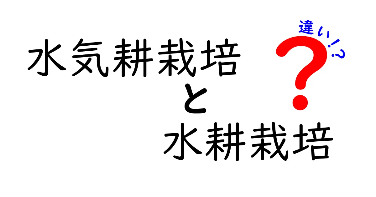 意外と違う！？水気耕栽培と水耕栽培のポイントと特徴を徹底比較！