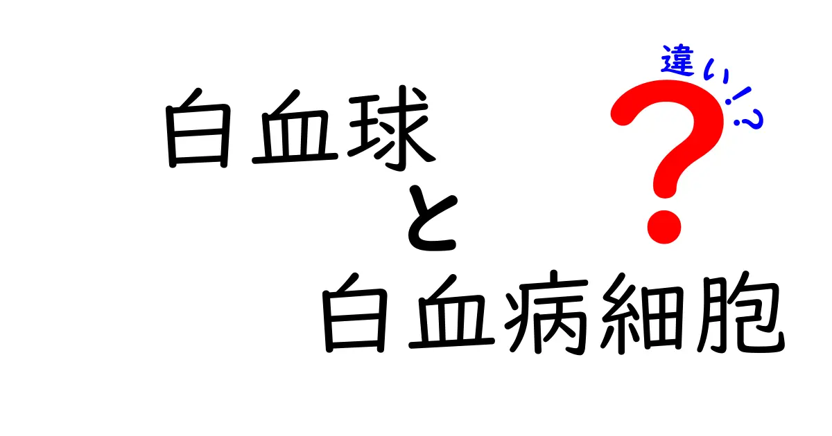 白血球と白血病細胞の違いを徹底解説!中学生にも分かる優しい解説でポイントを押さえよう