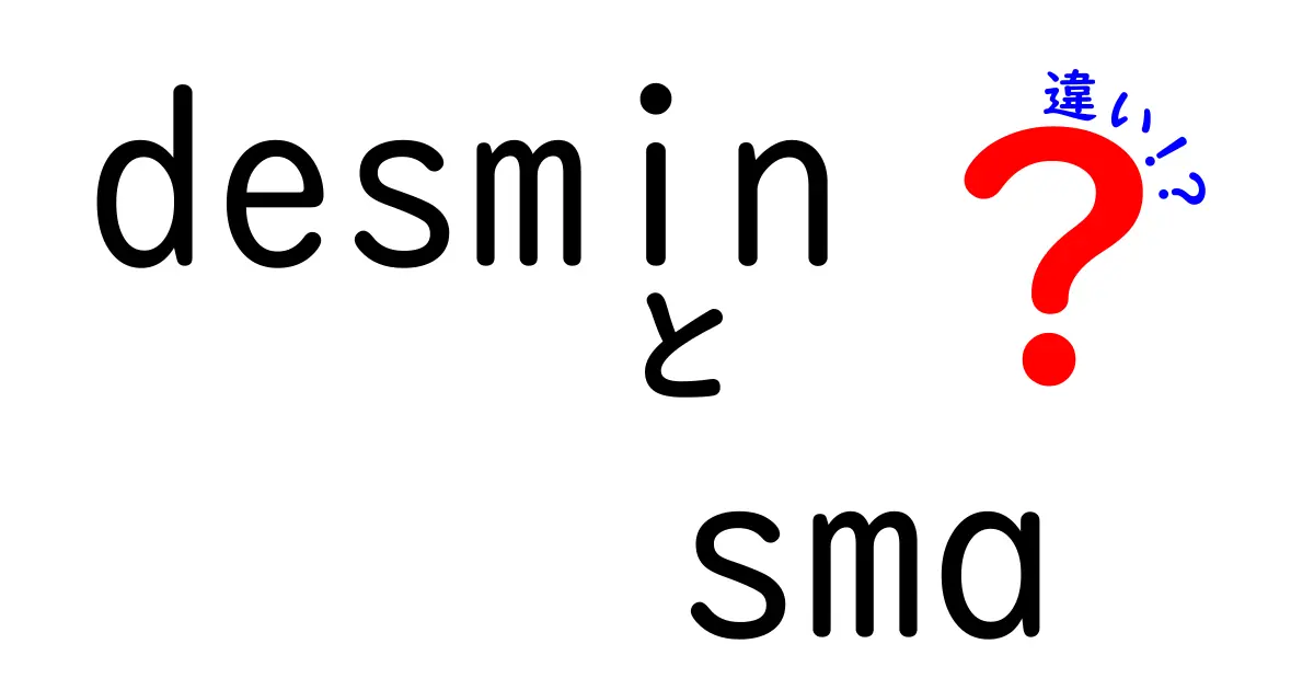 desminとSMAの違いを分かりやすく解説！中学生にも理解できるポイント徹底比較