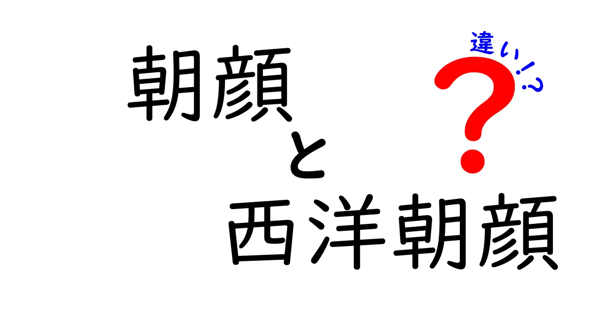 朝顔と西洋朝顔の違いを徹底解説！見た目から育て方までわかります
