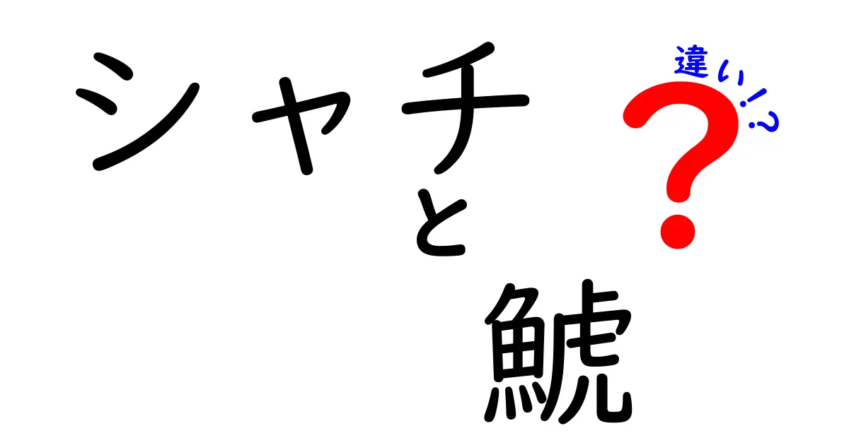 シャチと鯱の違いを徹底解説!名前が似ている理由と正しい見分け方