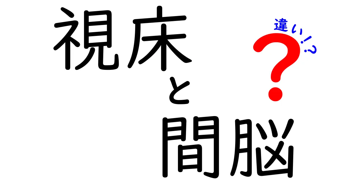 視床と間脳の違いをわかりやすく解説！中学生でも納得の基礎講座