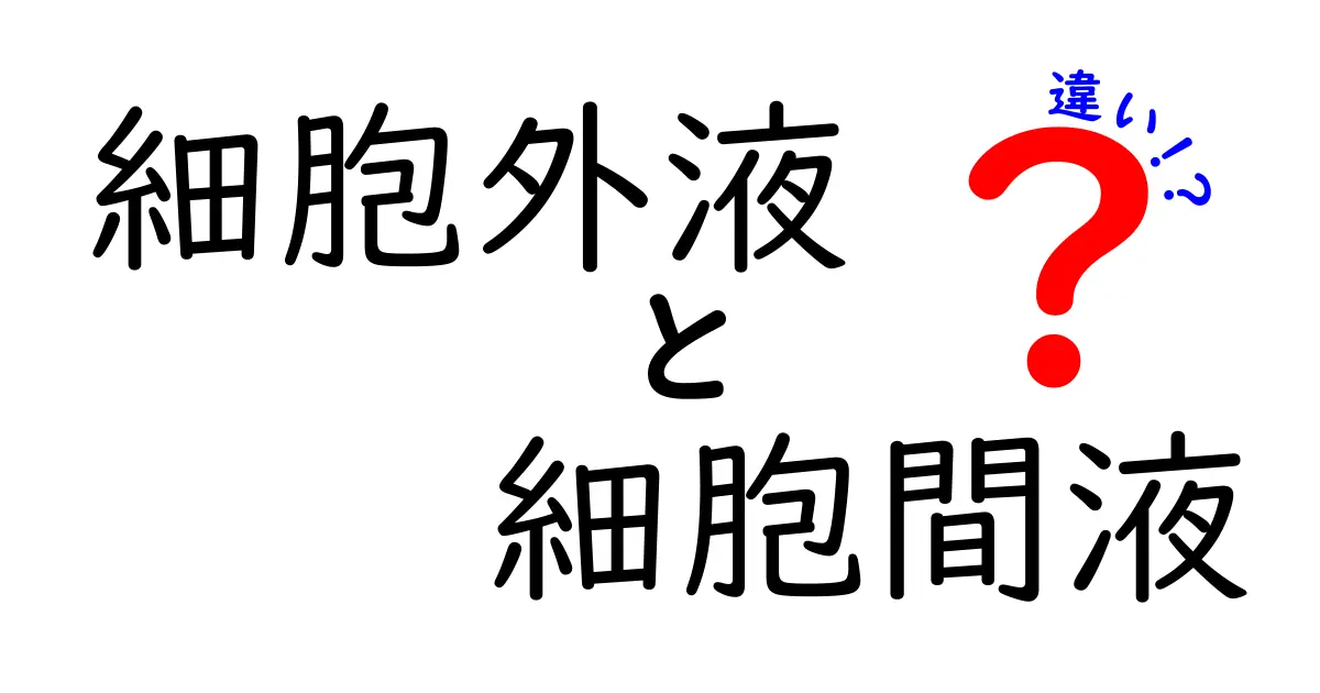 細胞外液と細胞間液の違いを徹底解説!中学生にもわかる体液の秘密