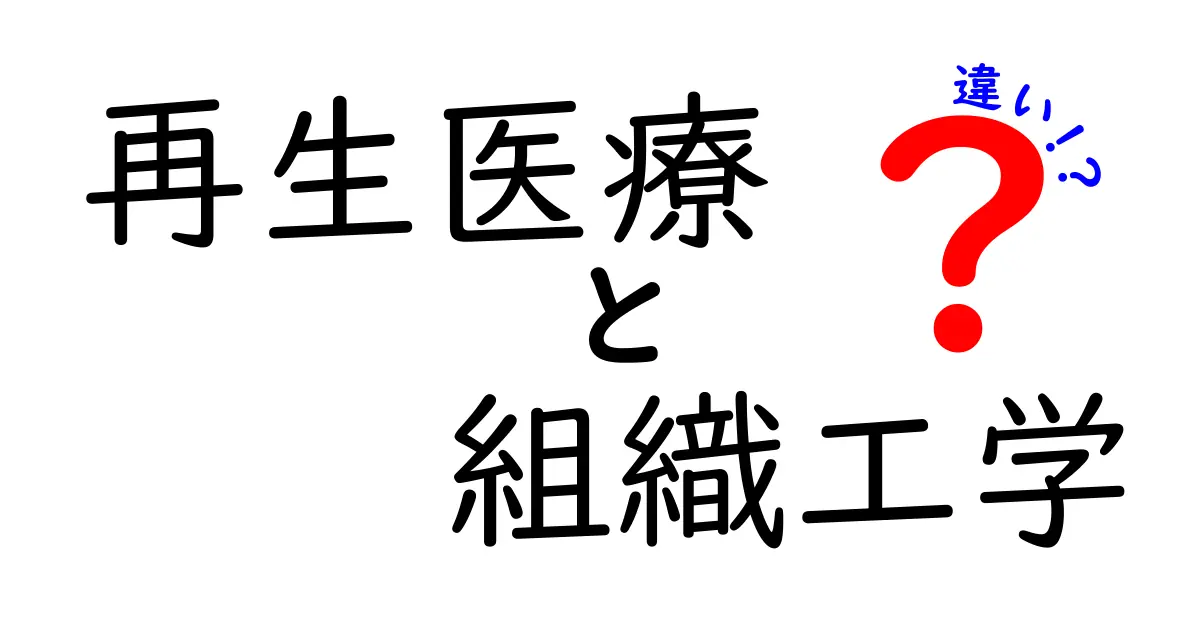 再生医療と組織工学の違いとは徹底解説 中学生にも伝わるやさしいポイントと実例