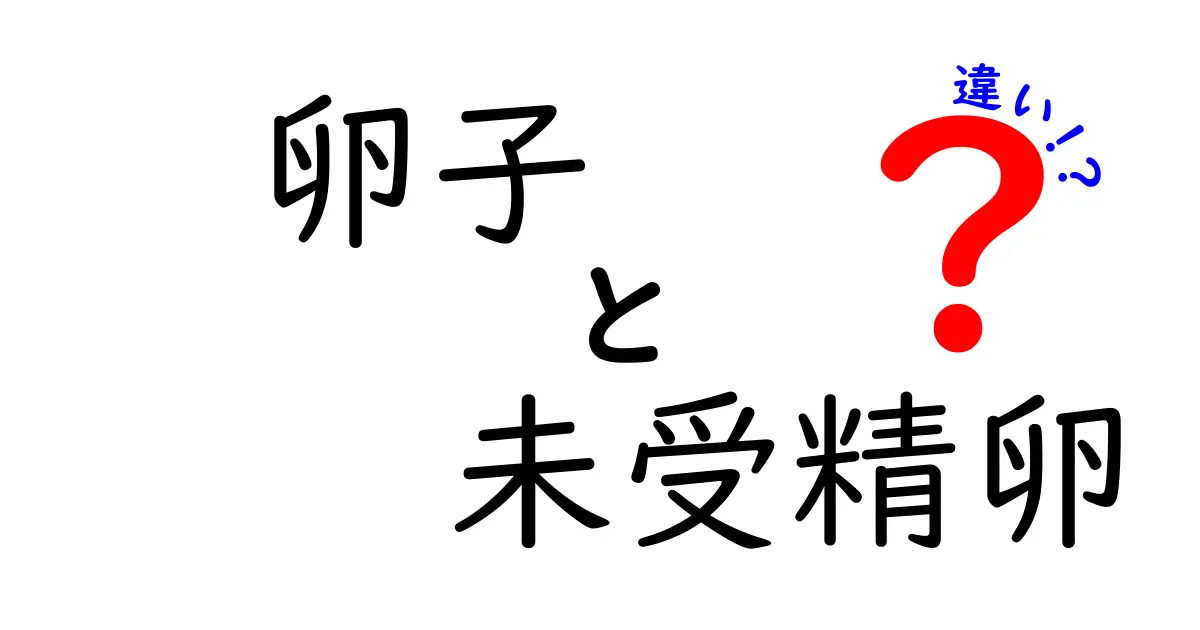 卵子と未受精卵の違いを徹底解説!中学生にもわかるやさしいポイント