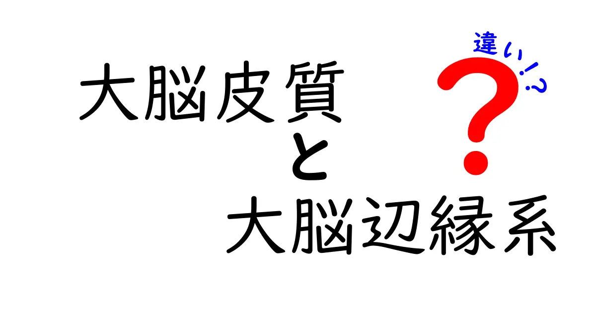 大脳皮質と大脳辺縁系の違いがひと目で分かる！中学生にも優しい解説ガイド