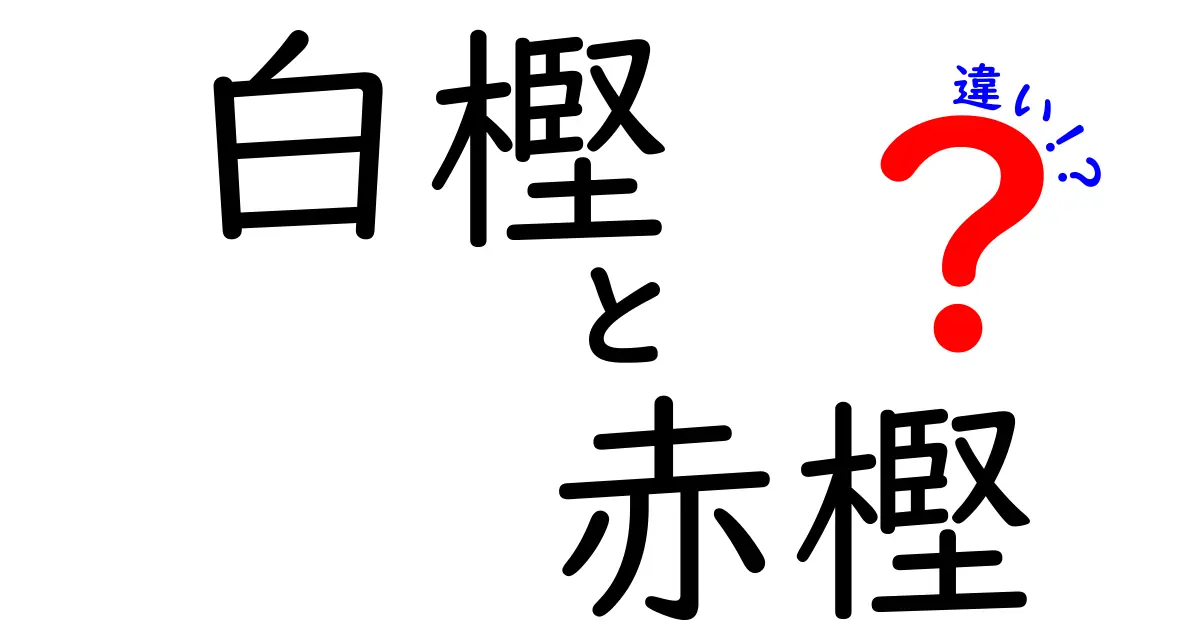 白樫と赤樫の違いを徹底解説！見た目や特徴、使い道のポイントをわかりやすく紹介