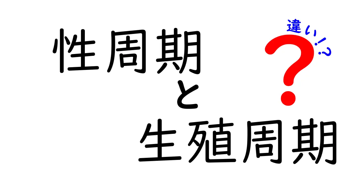 性周期と生殖周期の違いをわかりやすく解説!中学生にも伝わる基本と表で見るポイント
