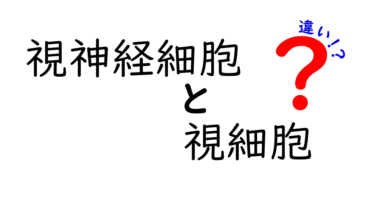 視神経細胞と視細胞の違いを徹底解説!中学生にも分かるやさしい解説と図解