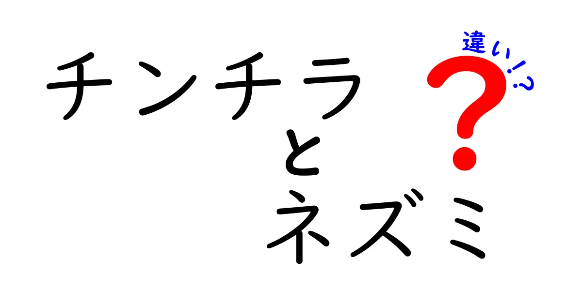 チンチラとネズミの違いを徹底解説!飼育・性格・見分け方をわかりやすくまとめた完全ガイド