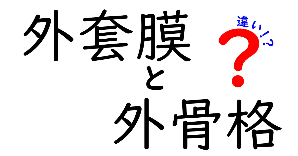 外套膜 外骨格 違いをわかりやすく解説!中学生にも伝わる生物の仕組み