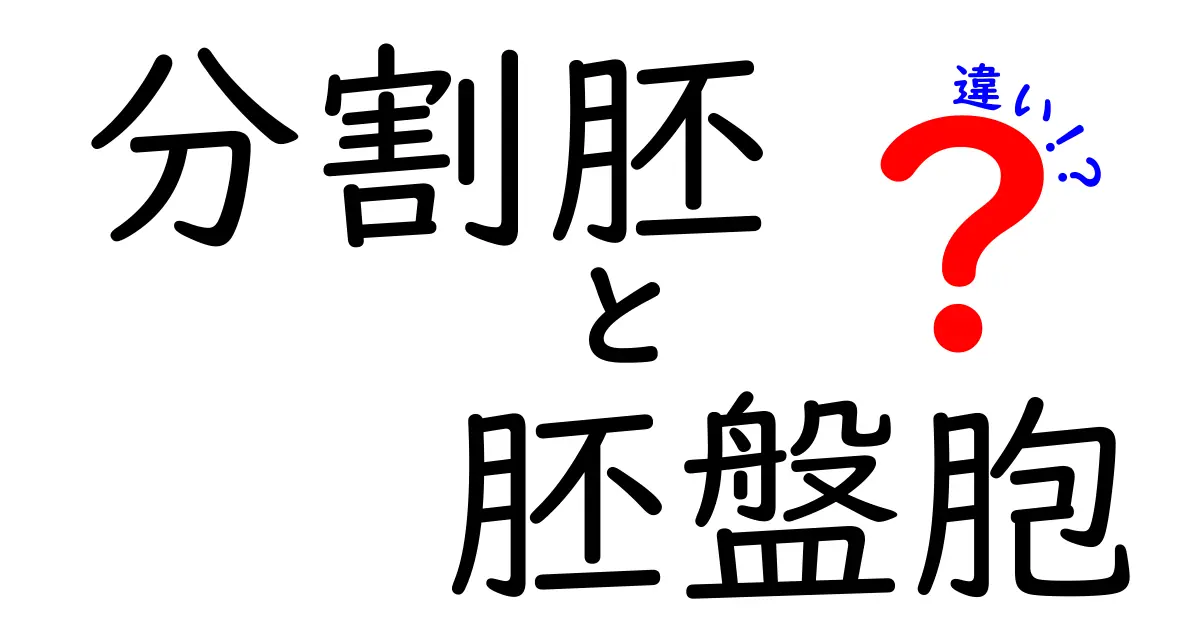 分割胚と胚盤胞の違いを図解つきで徹底解説!クリックしたくなるポイントを解説