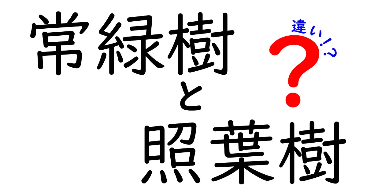 常緑樹と照葉樹の違いとは？知られざる特徴や見分け方を詳しく解説！