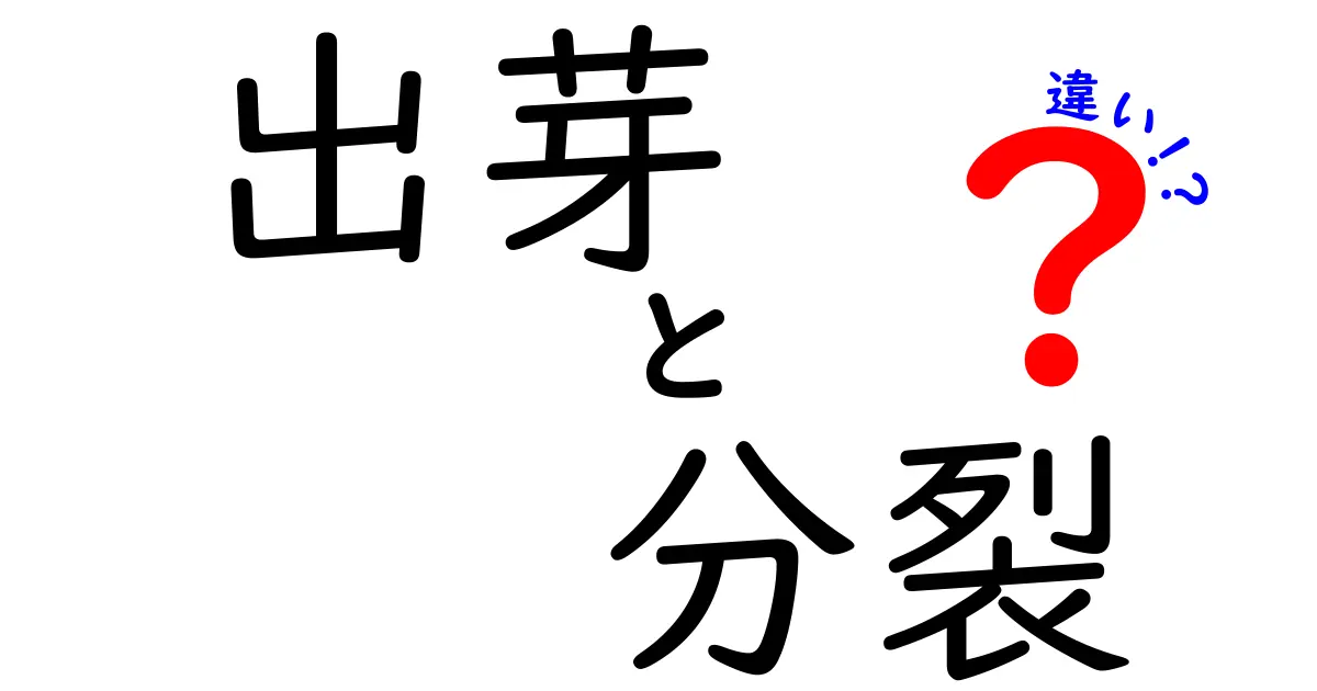 出芽と分裂の違いを徹底解説|中学生にも分かる生物の繁殖メカニズム