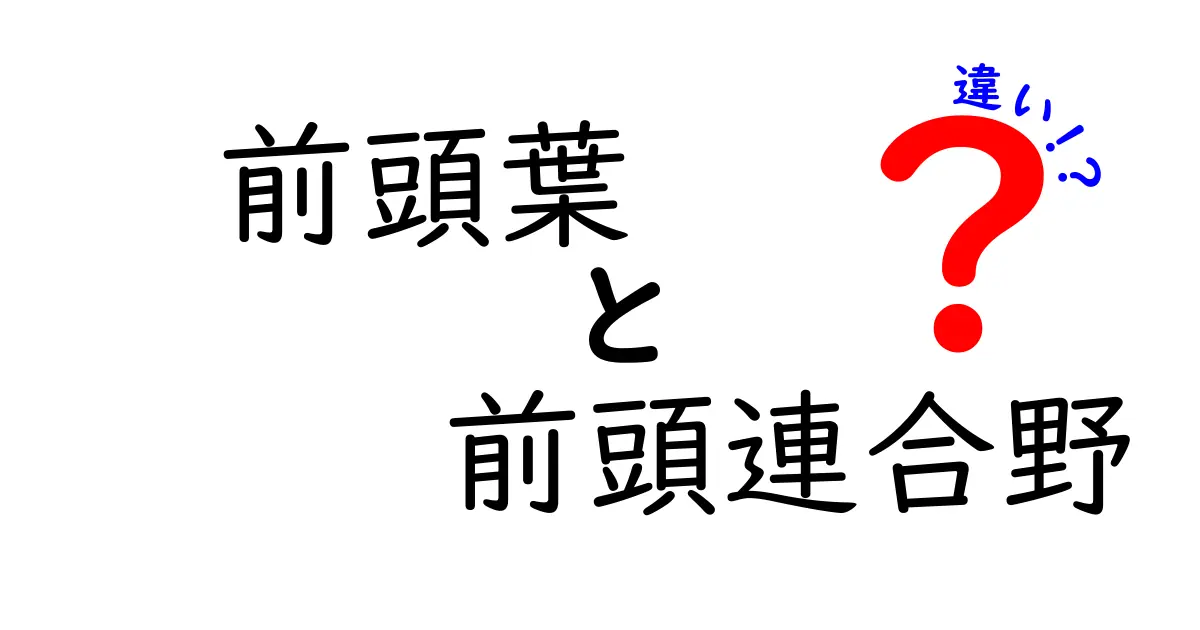 前頭葉と前頭連合野の違いをやさしく解説!中学生にもわかる脳の基本メカニズム