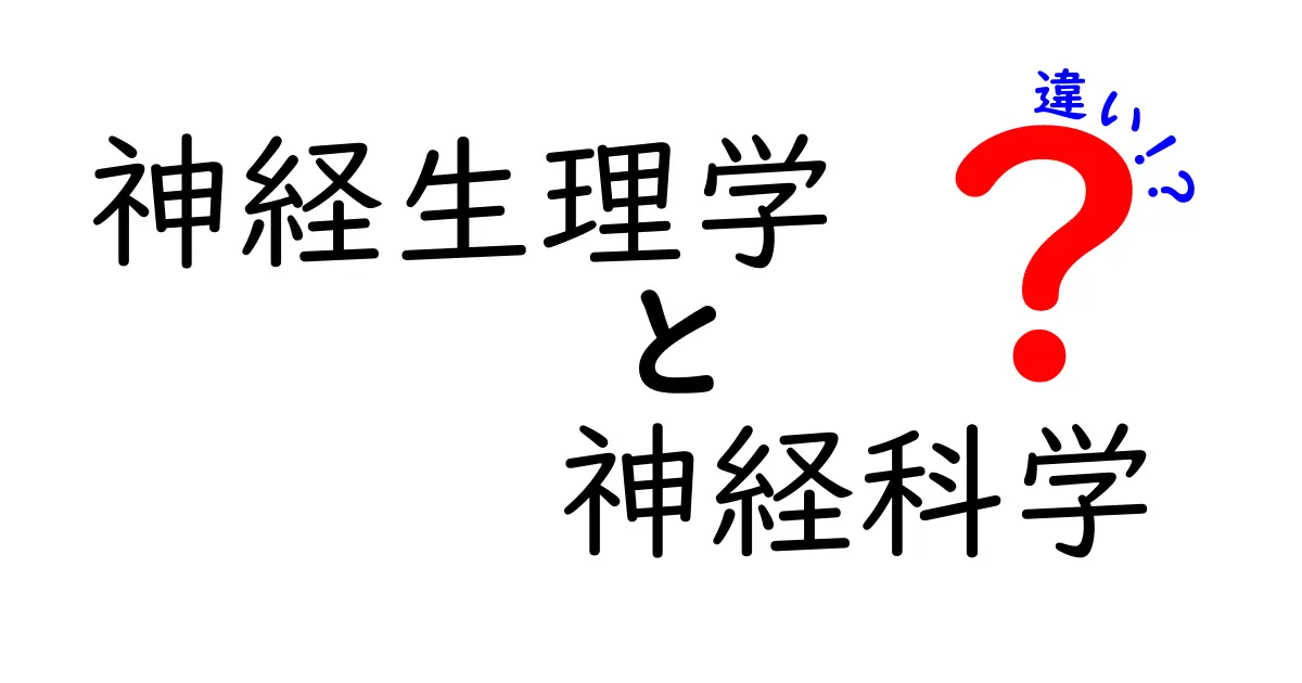 神経生理学と神経科学の違いを徹底解説!中学生にもわかる基礎と学び方
