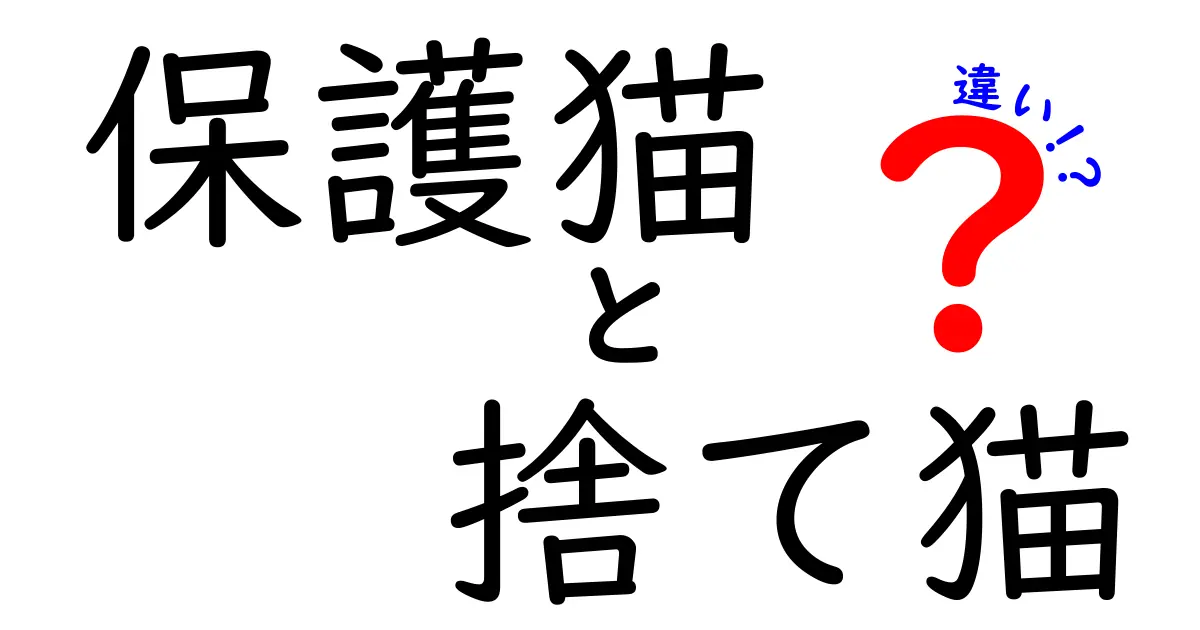 保護猫と捨て猫の違いとは?いま知っておくべきポイントを分かりやすく解説