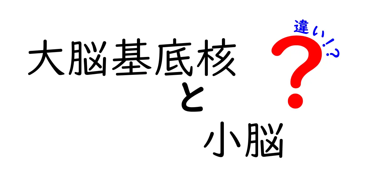 大脳基底核と小脳の違いを徹底解説!運動の司令塔と連携の名手をやさしく理解する方法