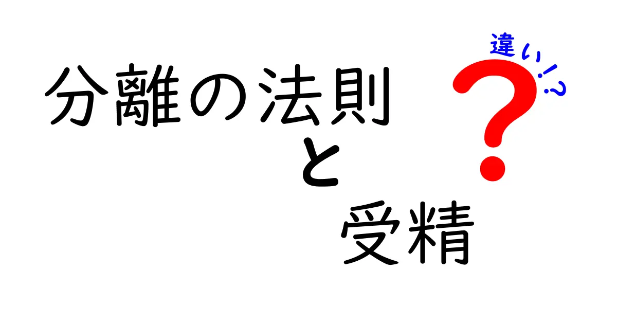 分離の法則と受精の違いを完全ガイド – 中学生にもわかる生物の基礎