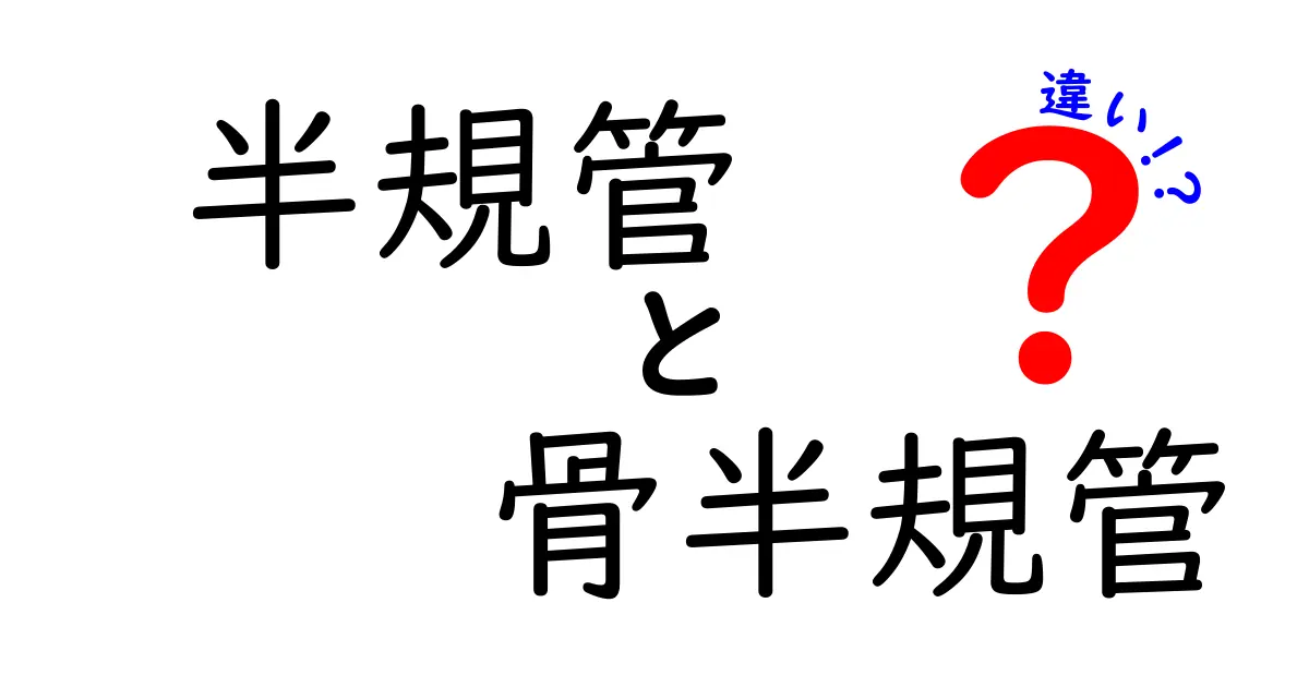 半規管と骨半規管の違いを徹底解説 耳の平衡感覚を左右する秘密とは
