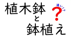 植木鉢と鉢植えの違いとは？中学生にもわかるやさしい解説
