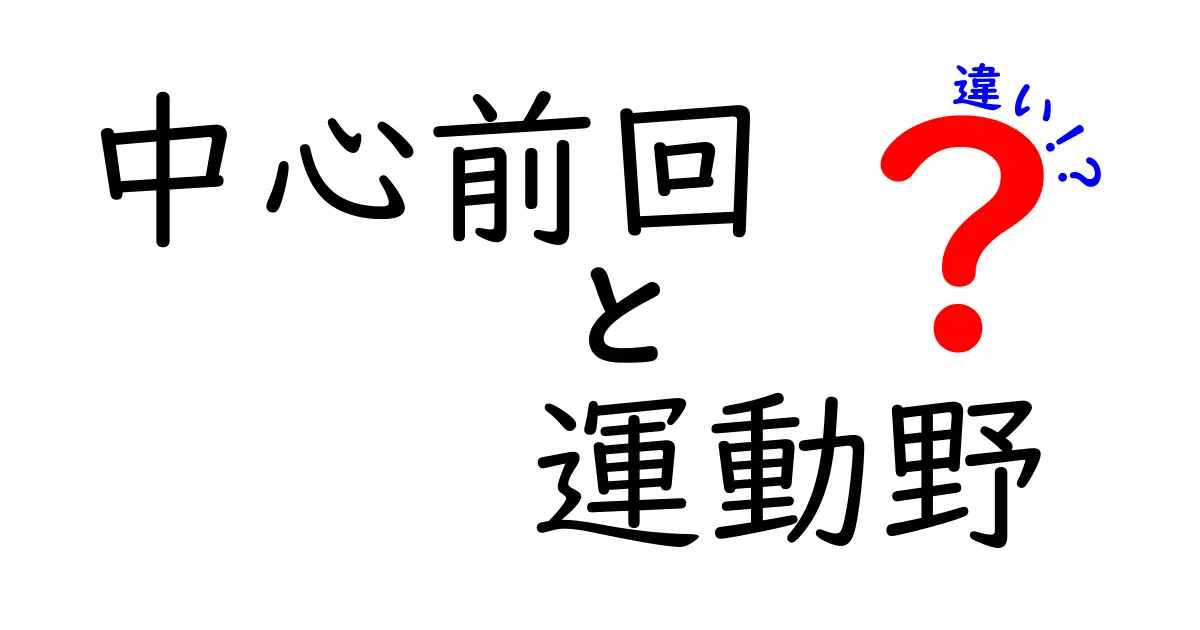 中心前回と運動野の違いを徹底解説!中学生にもわかるポイントと図解