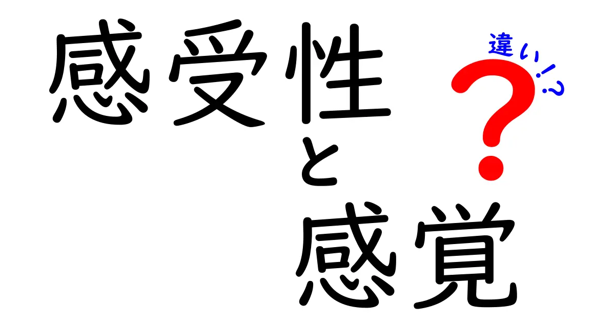 感受性と感覚の違いとは？初心者でもわかる完全ガイド